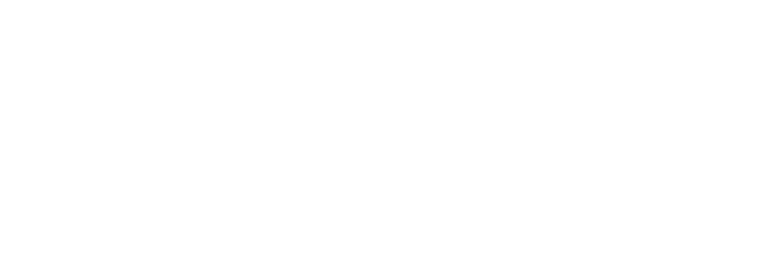 Voio